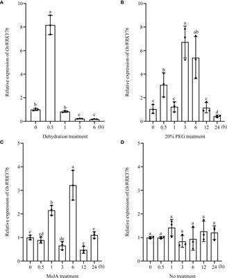 OsWRKY76 positively regulates drought stress via OsbHLH148-mediated jasmonate signaling in rice